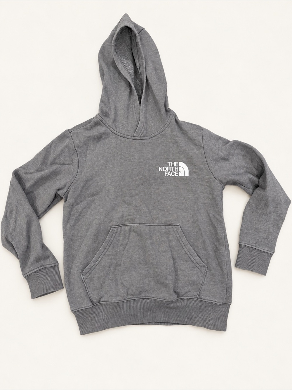 The North Face Kids Gray Hooded Sweatshirt with Logo